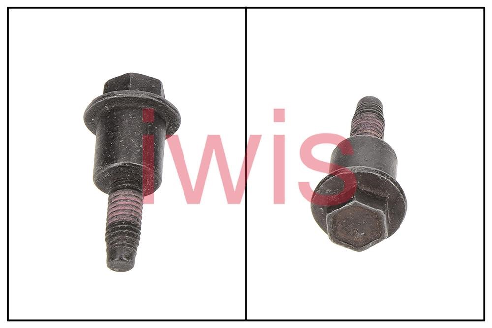 IWIS Motorsysteme 59668 Sliding Rail Bolts, timing chain 59668: Buy near me in Poland at 2407.PL - Good price!