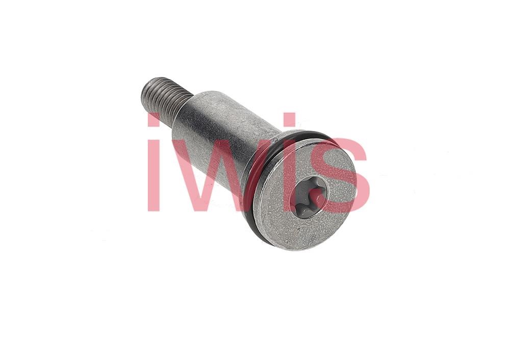 IWIS Motorsysteme 60248 Sliding Rail Bolts, timing chain 60248: Buy near me in Poland at 2407.PL - Good price!