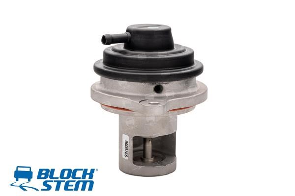 Block Stem EGR0244 EGR Valve EGR0244: Buy near me in Poland at 2407.PL - Good price!