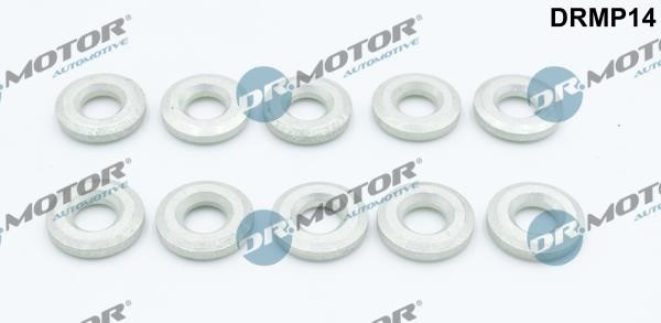 Dr.Motor DRMP14 Seal Kit, injector nozzle DRMP14: Buy near me in Poland at 2407.PL - Good price!