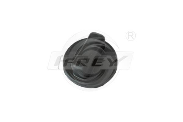 Frey 715700201 Fuel Door Assembly 715700201: Buy near me in Poland at 2407.PL - Good price!
