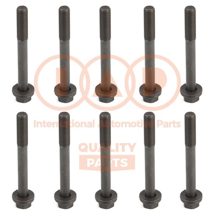 IAP 119-16020 Cylinder Head Bolts Kit 11916020: Buy near me in Poland at 2407.PL - Good price!