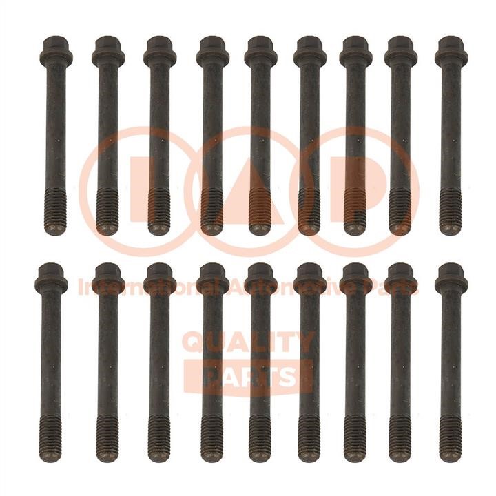 IAP 119-13020 Cylinder Head Bolts Kit 11913020: Buy near me in Poland at 2407.PL - Good price!