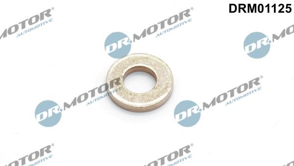 Dr.Motor DRM01125 Seal Ring, injector DRM01125: Buy near me in Poland at 2407.PL - Good price!
