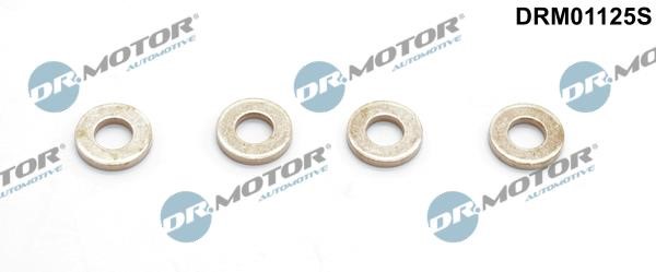 Dr.Motor DRM01125S Seal Kit, injector nozzle DRM01125S: Buy near me in Poland at 2407.PL - Good price!