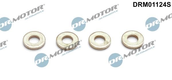 Dr.Motor DRM01124S Seal Kit, injector nozzle DRM01124S: Buy near me in Poland at 2407.PL - Good price!
