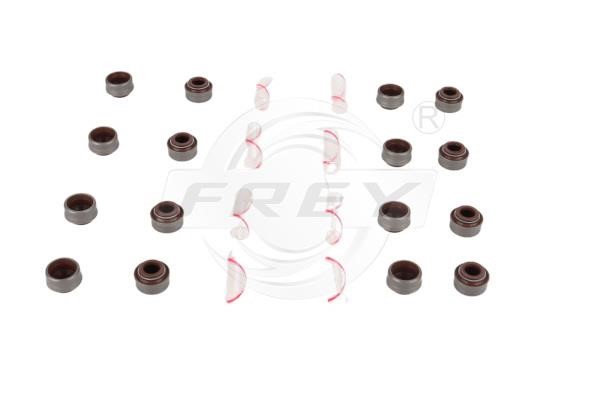 Frey 701500243 Valve oil seals, kit 701500243: Buy near me at 2407.PL in Poland at an Affordable price!