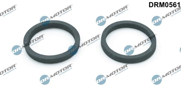 Dr.Motor DRM0561 Seal, oil cooler DRM0561: Buy near me in Poland at 2407.PL - Good price!