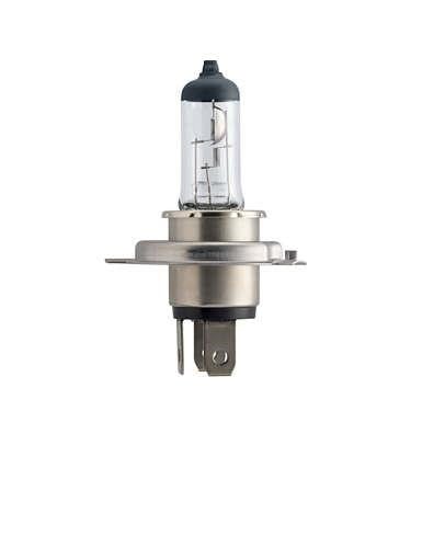 Narva 489013000 Halogen lamp Narva Rallye For Off-Road 12V H4 100/90W 489013000: Buy near me in Poland at 2407.PL - Good price!