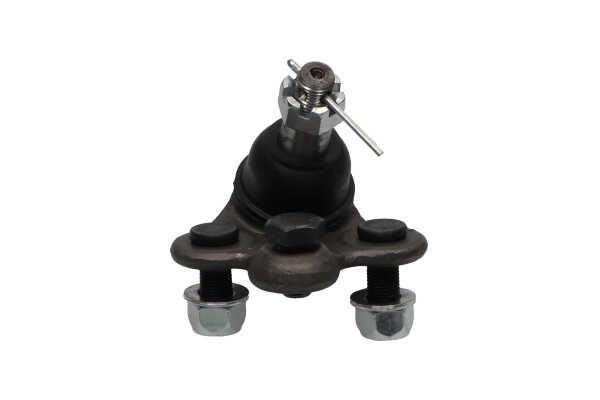 Kavo parts SBJ-2016 Ball joint SBJ2016: Buy near me in Poland at 2407.PL - Good price!