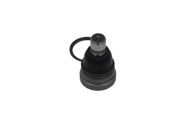 Buy Kavo parts SBJ4525 – good price at 2407.PL!