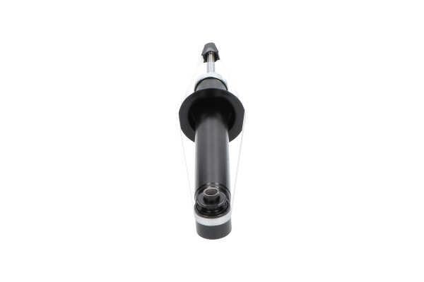 Kavo parts SSA-10565 Rear suspension shock SSA10565: Buy near me in Poland at 2407.PL - Good price!