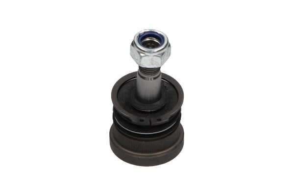Kavo parts SBJ-1501 Ball joint SBJ1501: Buy near me at 2407.PL in Poland at an Affordable price!
