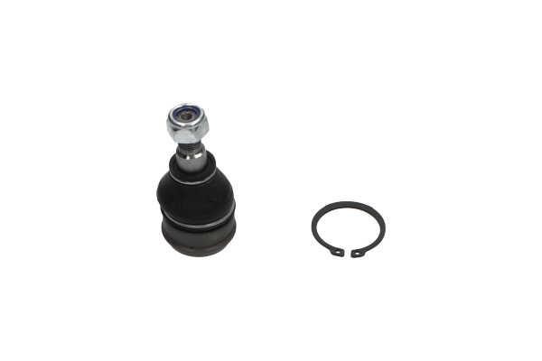 Kavo parts SBJ-5535 Ball joint SBJ5535: Buy near me in Poland at 2407.PL - Good price!