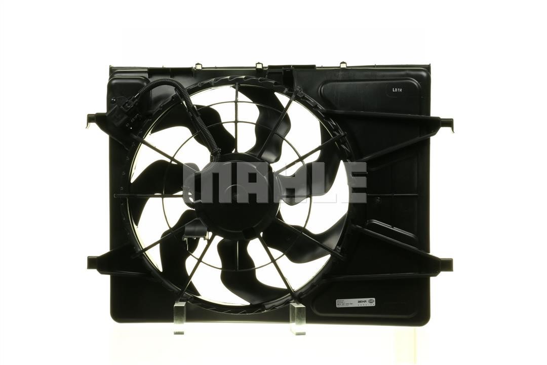 Mahle/Behr CFF 253 000P Вентилятор радиатора охлаждения CFF253000P: Отличная цена - Купить в Польше на 2407.PL!