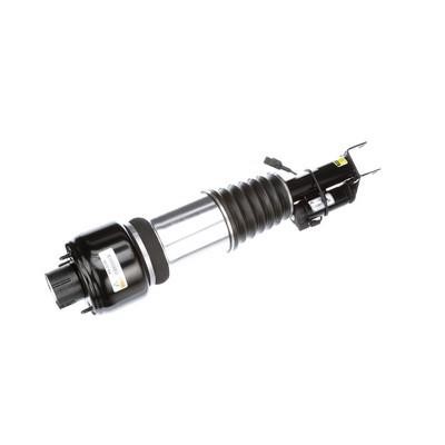 Arnott Front suspension shock absorber – price 2883 PLN