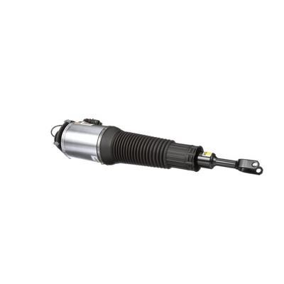 Arnott Front suspension shock absorber – price 4156 PLN