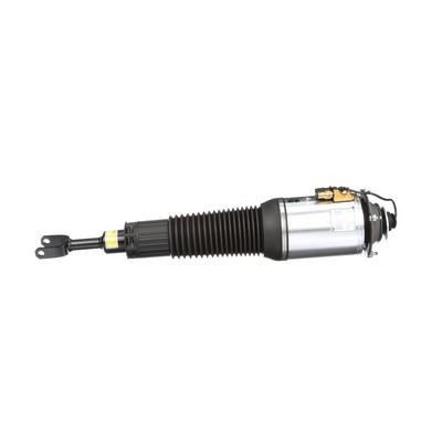 Arnott Front suspension shock absorber – price 4156 PLN