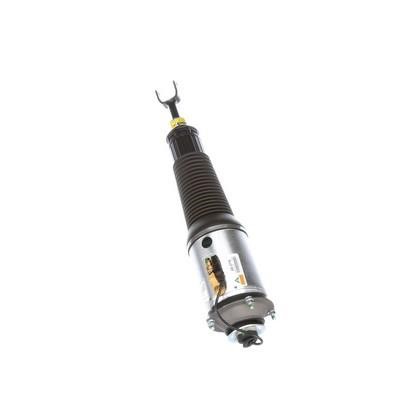 Arnott Front suspension shock absorber – price 4156 PLN