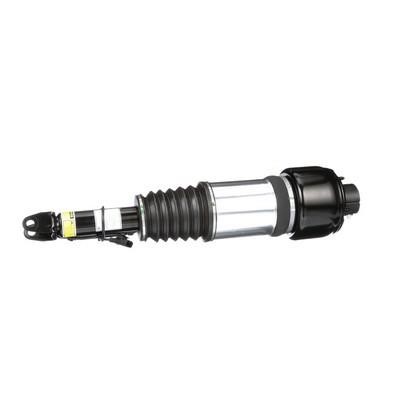 Front suspension shock absorber Arnott AS-2246