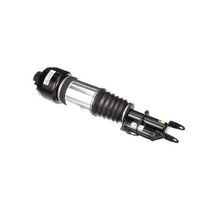 Arnott Front suspension shock absorber – price 2883 PLN