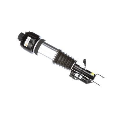 Front suspension shock absorber Arnott AS-2246