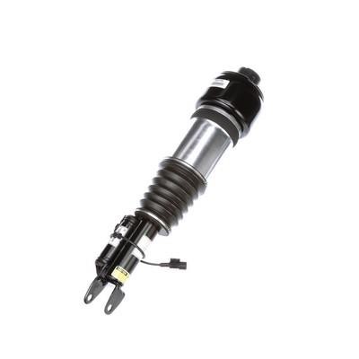 Arnott Front suspension shock absorber – price 2883 PLN