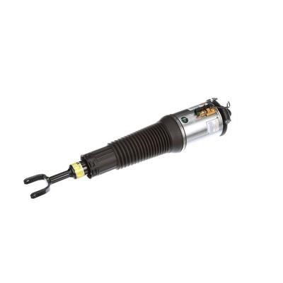 Front suspension shock absorber Arnott AS-2775