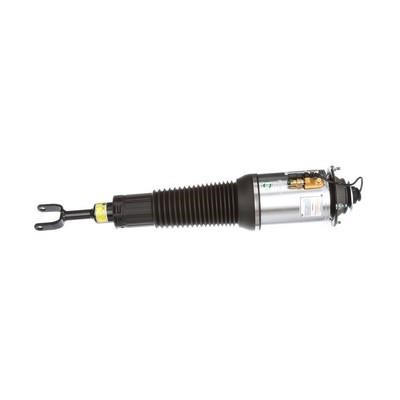 Arnott Front suspension shock absorber – price 4156 PLN