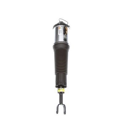 Arnott Front suspension shock absorber – price 4156 PLN