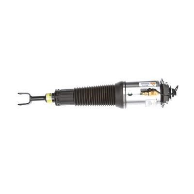 Arnott Front suspension shock absorber – price 4156 PLN