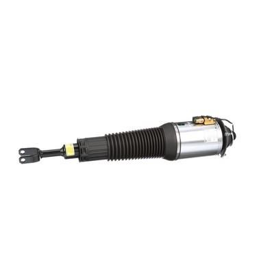 Arnott Front suspension shock absorber – price 4156 PLN