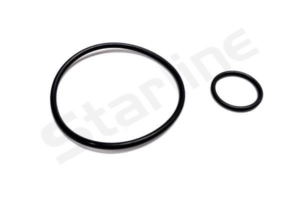 StarLine DP ND-5970 Vacuum pump gaskets, kit DPND5970: Buy near me at 2407.PL in Poland at an Affordable price!