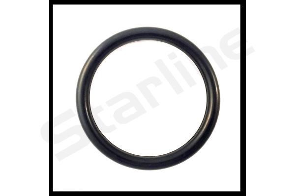 StarLine DP ND-5707 Ring sealing DPND5707: Buy near me at 2407.PL in Poland at an Affordable price!