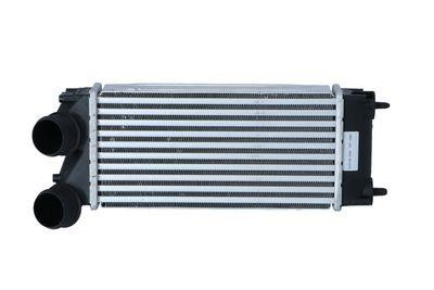 Kraft Automotive 1556097 Intercooler, charger 1556097: Buy near me in Poland at 2407.PL - Good price!