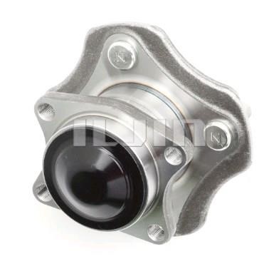 Iljin IJ143006 Wheel hub with rear bearing IJ143006: Buy near me in Poland at 2407.PL - Good price!