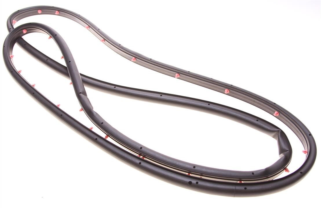 Ford DS7Z-542053-1C Weatherstrip DS7Z5420531C: Buy near me in Poland at 2407.PL - Good price!