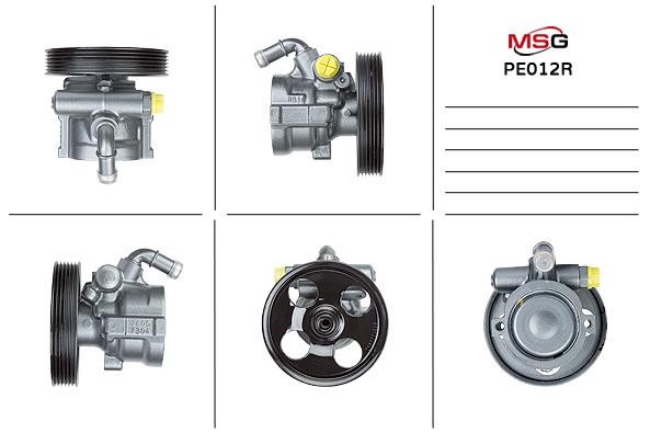 MSG Rebuilding PE012R Power steering pump reconditioned PE012R: Buy near me in Poland at 2407.PL - Good price!