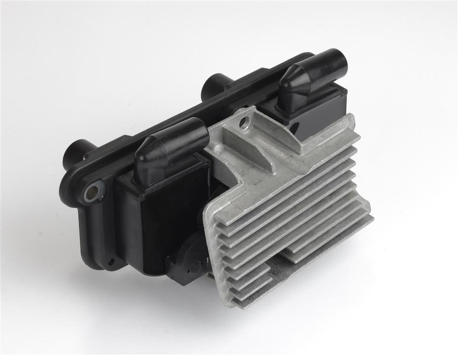 Intermotor 12924 Ignition coil 12924: Buy near me in Poland at 2407.PL - Good price!