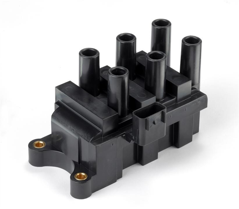 Intermotor 12428 Ignition coil 12428: Buy near me in Poland at 2407.PL - Good price!