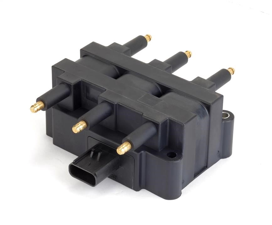 Intermotor 12434 Ignition coil 12434: Buy near me in Poland at 2407.PL - Good price!