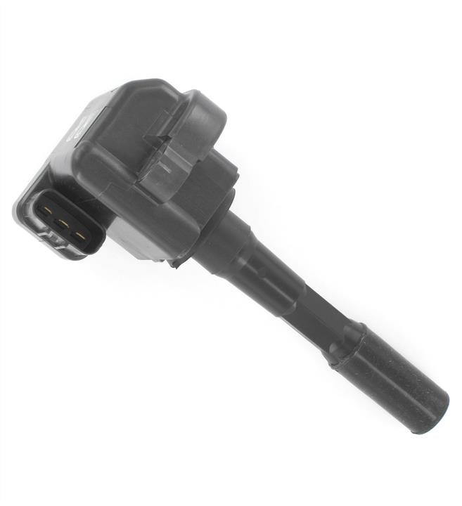 Intermotor 12453 Ignition coil 12453: Buy near me in Poland at 2407.PL - Good price!