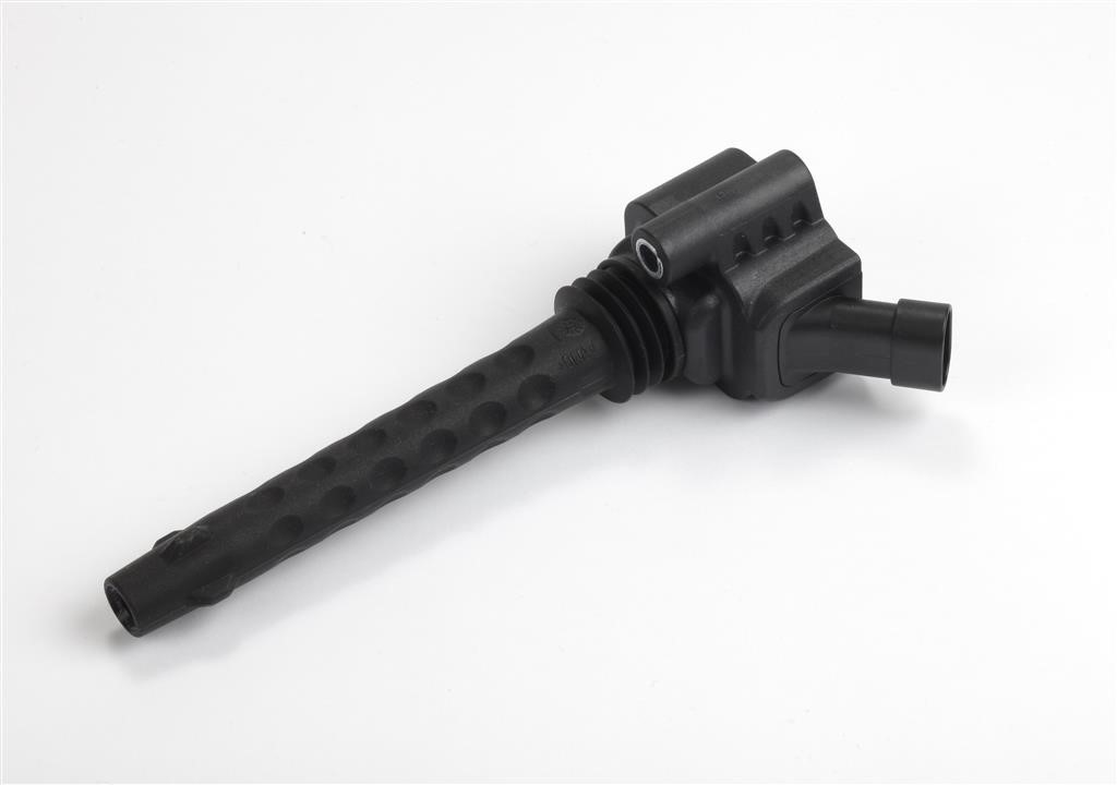 Intermotor 12884 Ignition coil 12884: Buy near me in Poland at 2407.PL - Good price!