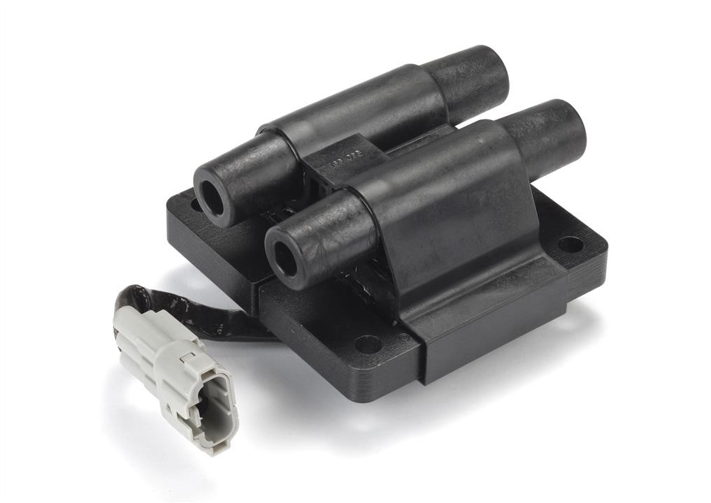 Intermotor 12828 Ignition coil 12828: Buy near me in Poland at 2407.PL - Good price!