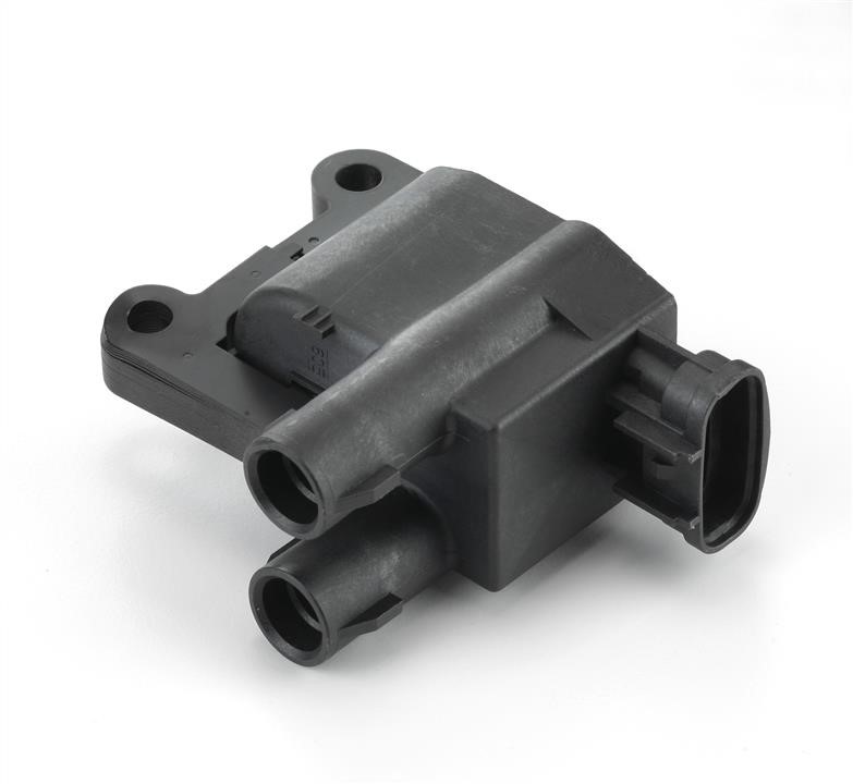 Intermotor 12862 Ignition coil 12862: Buy near me in Poland at 2407.PL - Good price!