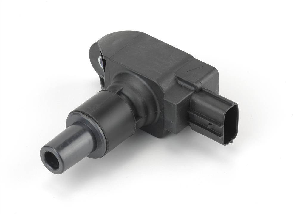 Intermotor 12880 Ignition coil 12880: Buy near me in Poland at 2407.PL - Good price!
