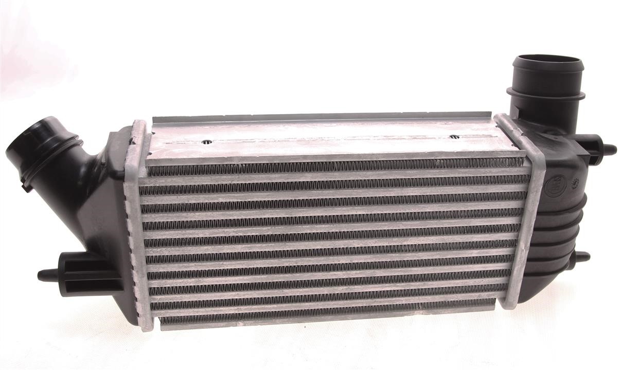 Citroen/Peugeot 0384 P2 Intercooler, charger 0384P2: Buy near me in Poland at 2407.PL - Good price!
