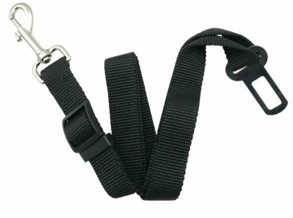 Carcommerce 42821 Dog Safety Belt 42821: Buy near me in Poland at 2407.PL - Good price!