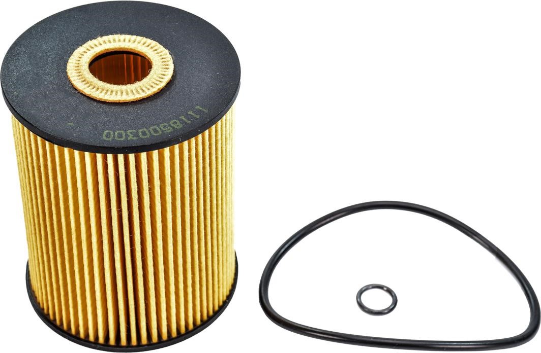 Jp Group 1118500300 Oil Filter 1118500300: Buy near me in Poland at 2407.PL - Good price!