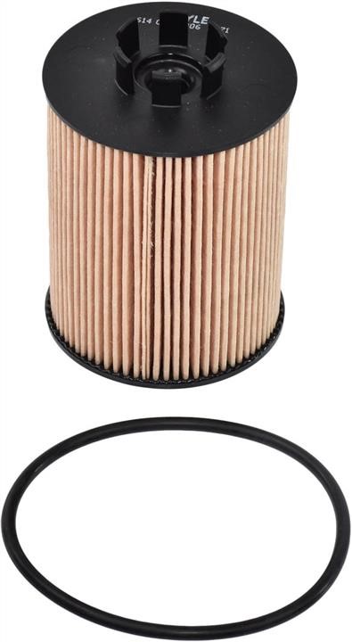 Meyle 614 065 0006 Oil Filter 6140650006: Buy near me at 2407.PL in Poland at an Affordable price!
